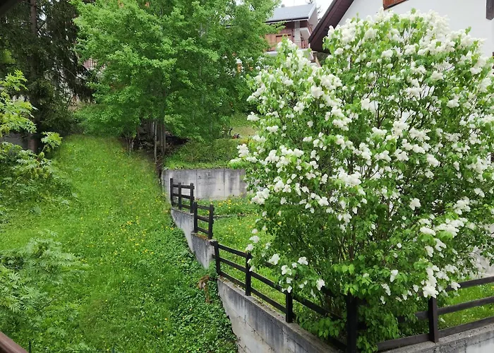 Casa Sofia In Centro A Sauze Apartment *